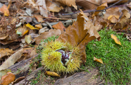 艾皇手机号测压