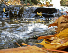 无缝数据对接的短信炸弹防护业务